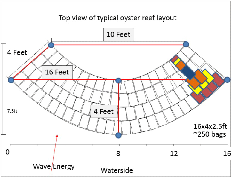 oyster reef layout