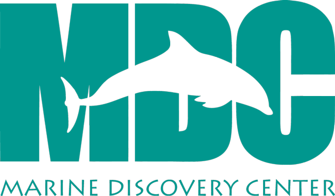 Marine discovery center logo