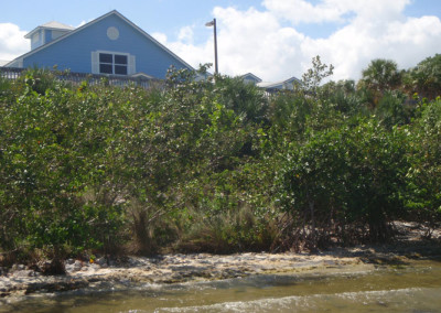 Marine Resources Council Lagoon House (Brevard County)
