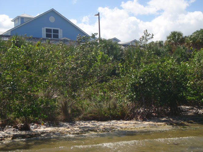 Marine Resources Council Lagoon House (Brevard County)