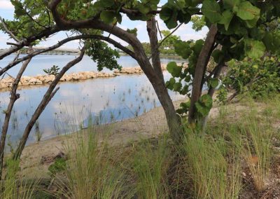 Jewell Cove Natural Area (Palm Beach County)
