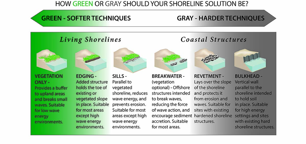 A continuum comparing the greenness of different shoreline stabilization methods.