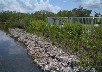 Seminole Rest Shoreline Stabilization (Volusia County)