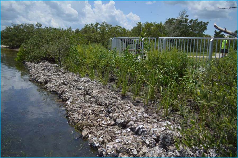 Seminole Rest Shoreline Stabilization (Volusia County)