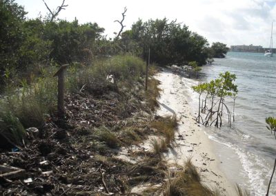 Restoration at Blowing Rocks Preserve. Photo: The Nature Conservancy