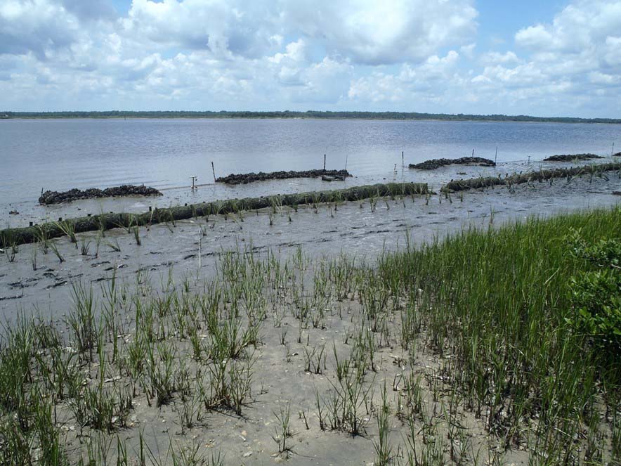 Wrights Landing (St. Johns County)