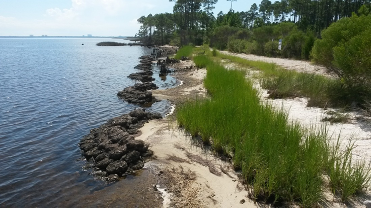 Living Shoreline at RiverCamps on Crooked Creek in Panama City Beach, Fl.