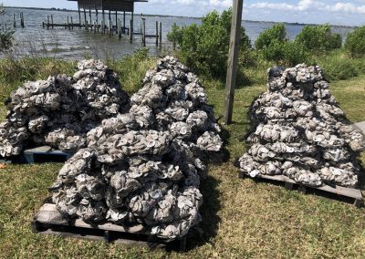 Oyster bags staged at Coconut Point before deployment