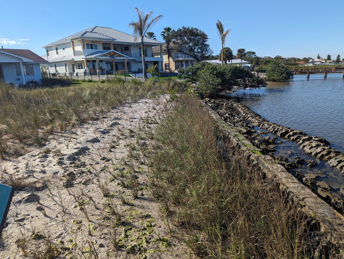 Redeemed seawall base and native grasses
