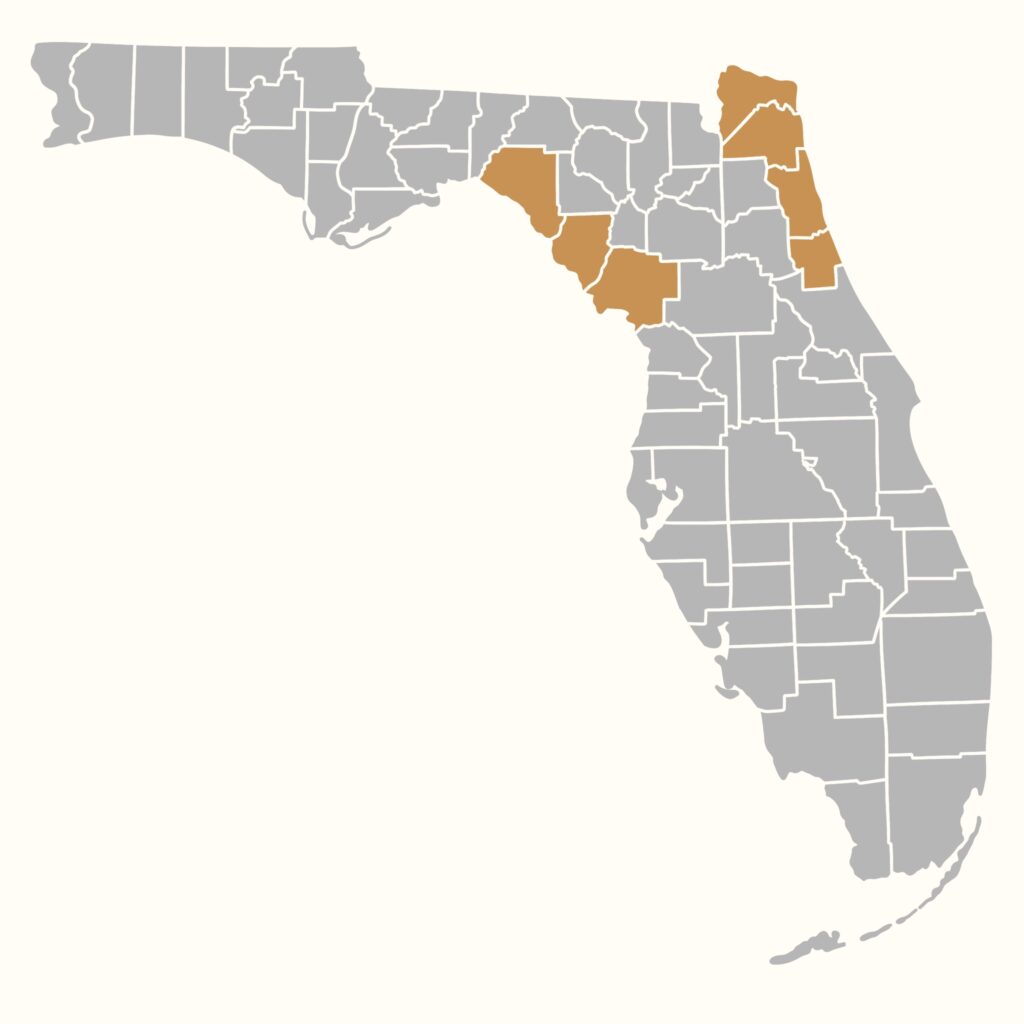 Highlighting the counties in the Northeast region. Specifically, Nassau, Duval, St. Johns, Flagler, Taylor, Dale, and Levy.