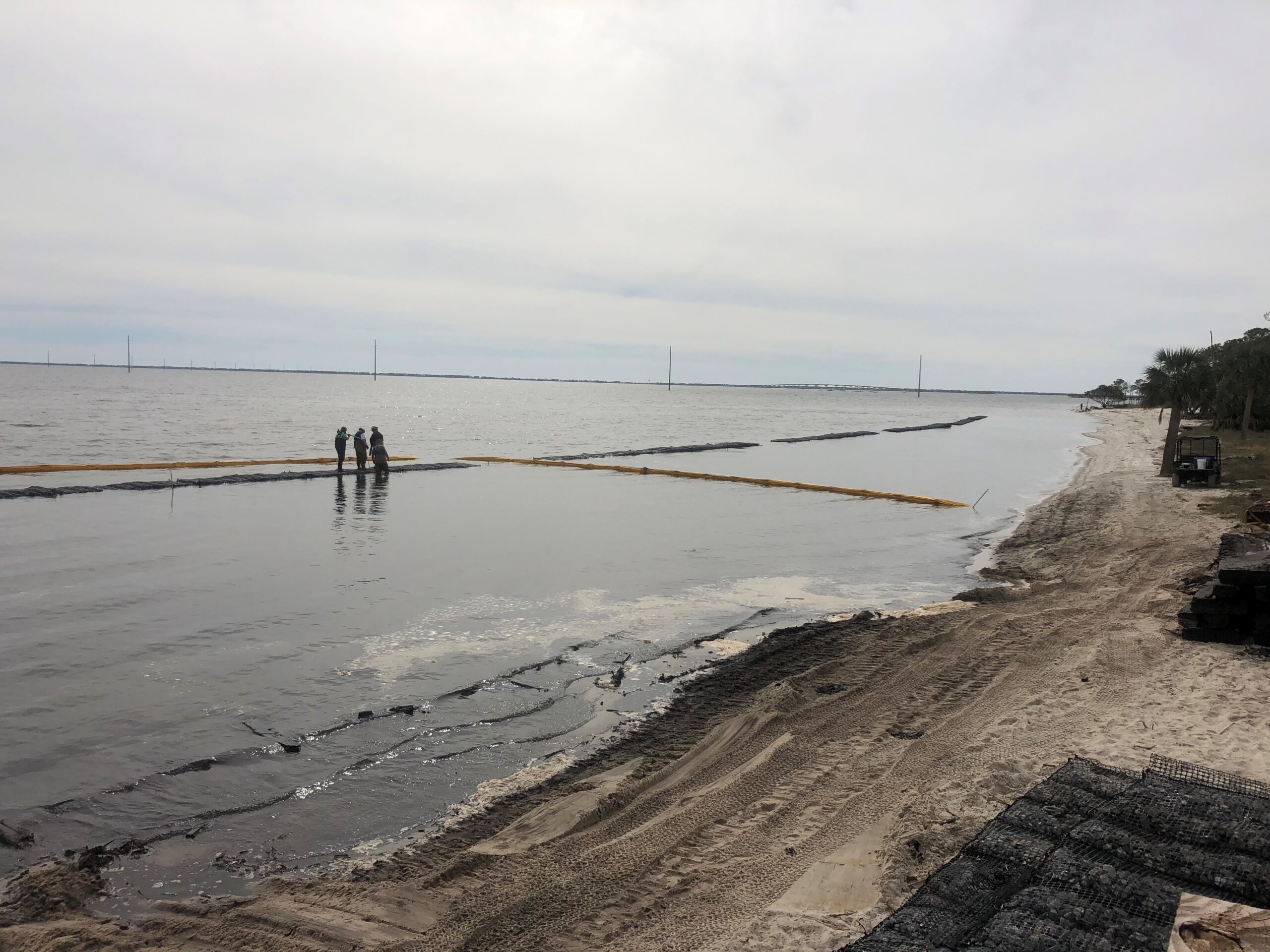 Cat Point living shoreline in progress in February 2020