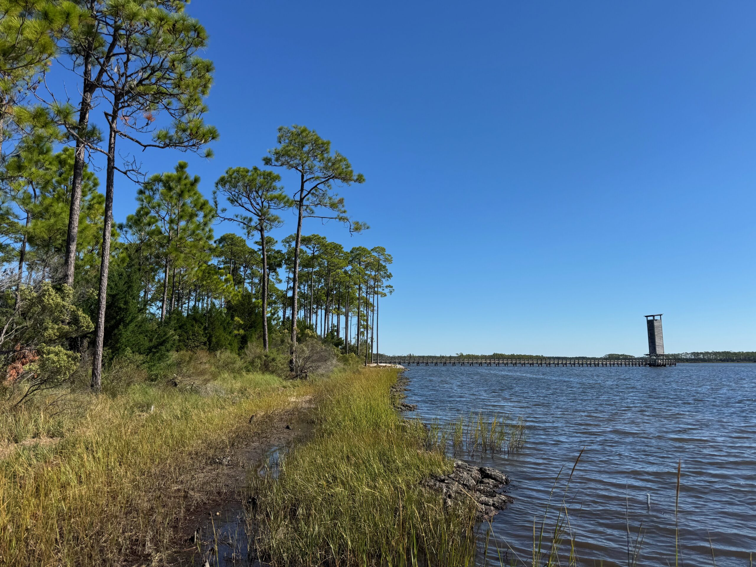RiverCamps living shoreline RiverCamps living shoreline