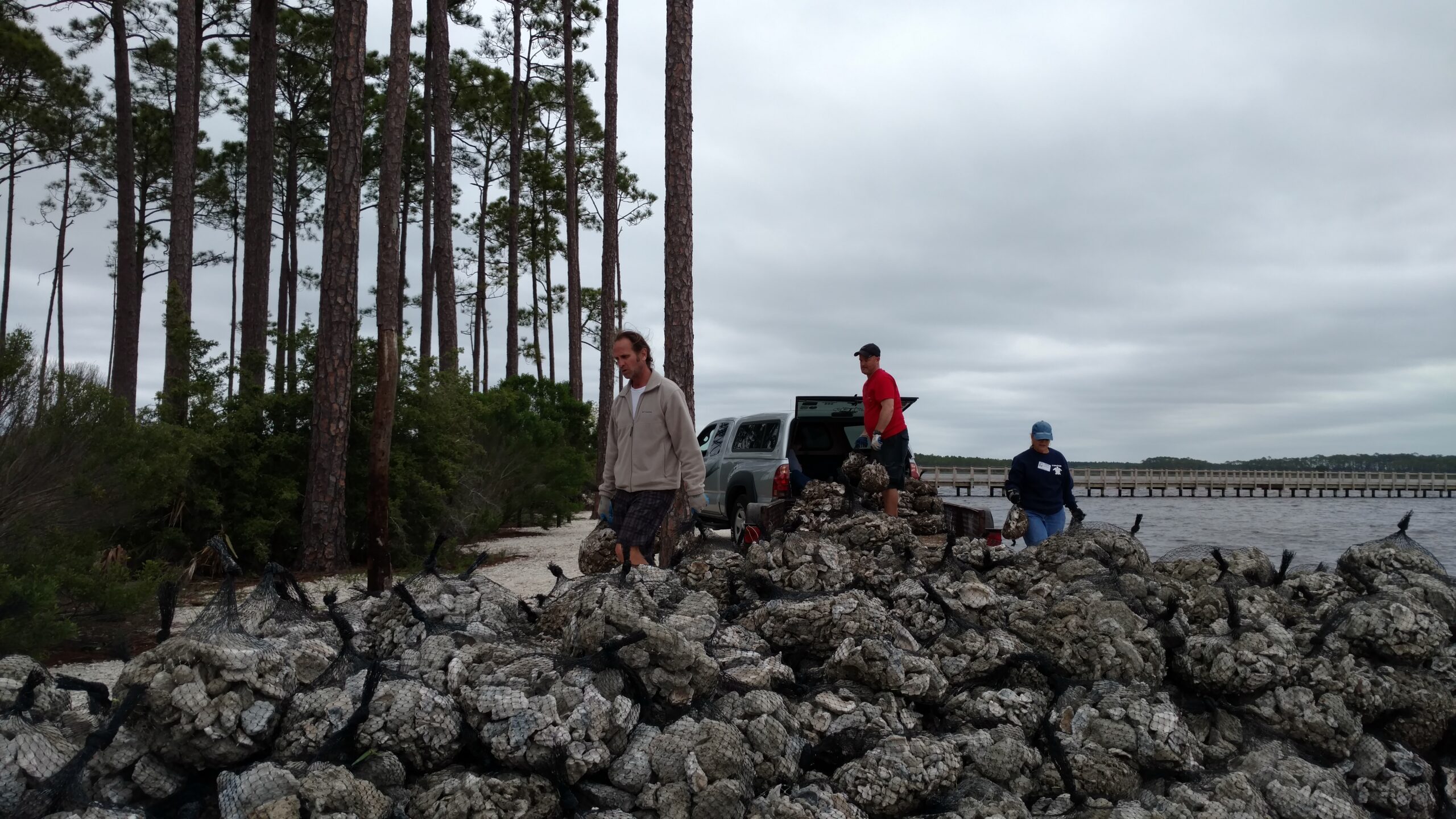 Oyster bags during construction of RiverCamps living shoreline Oyster bags during construction of RiverCamps living shoreline