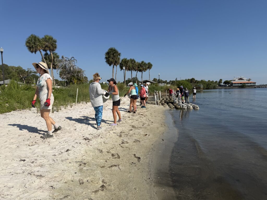Expansion of Riverview Park living shoreline