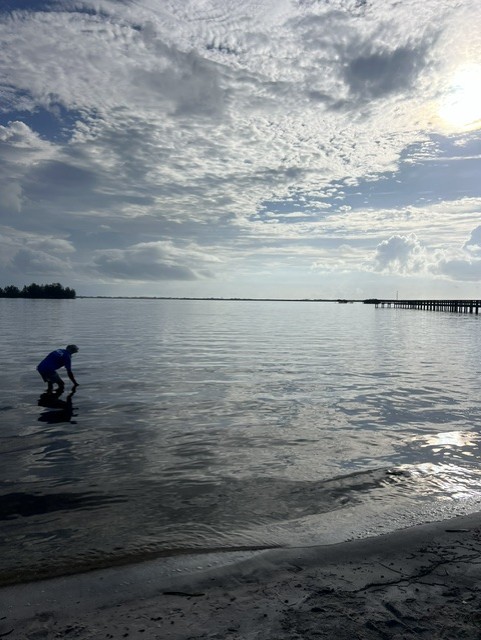 Riverview Park before living shoreline project