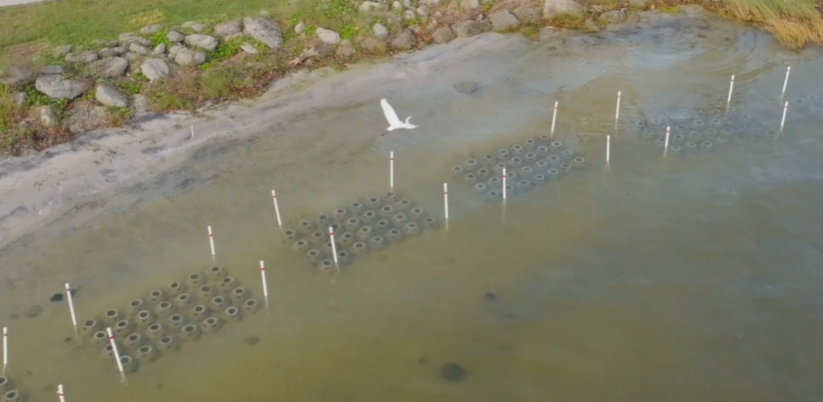 Riverview Park living shoreline project after completion